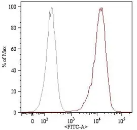 Anti-CD105 antibody [MEM-226] used in Flow cytometry (FCM). GTX22529