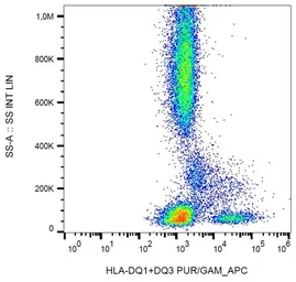 Anti-HLA-DQ1 + HLA-DQ3 antibody [HL-37] used in Flow cytometry (FCM). GTX22600