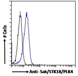 Anti-PLK4 antibody, N-term used in Flow cytometry (FCM). GTX22642