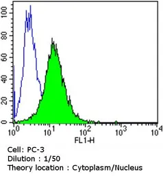 Anti-AHR antibody [RPT9] used in Flow cytometry (FCM). GTX22769