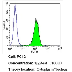 Anti-Importin beta 1 antibody [3E9] used in Flow cytometry (FCM). GTX22811