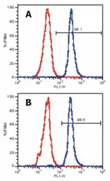 Anti-LAT antibody [LAT-01] used in Flow cytometry (FCM). GTX22852