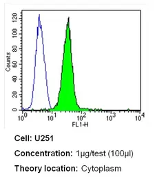 Anti-Cav1.1 antibody [1A] used in Flow cytometry (FCM). GTX22862