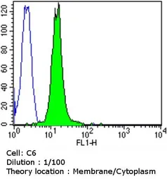Anti-CACNA2D1 antibody [20A] used in Flow cytometry (FCM). GTX22864
