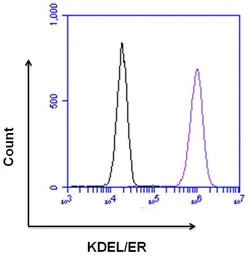 Anti-KDEL antibody used in Flow cytometry (FCM). GTX22898