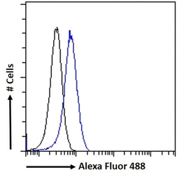 Anti-MURF1 antibody used in Flow cytometry (FCM). GTX24125