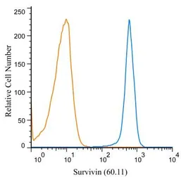 Anti-Survivin antibody [60.11] used in Flow cytometry (FCM). GTX24470