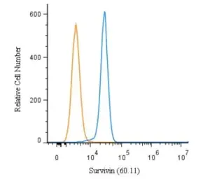 Anti-Survivin antibody [60.11] used in Flow cytometry (FCM). GTX24470