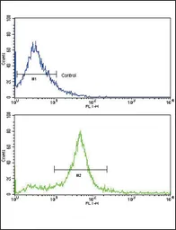 Anti-Her3 / ErbB3 antibody used in Flow cytometry (FCM). GTX25470