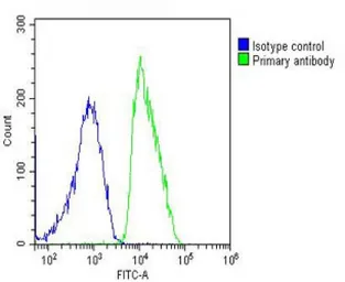 Anti-DDR1 antibody used in Flow cytometry (FCM). GTX25508