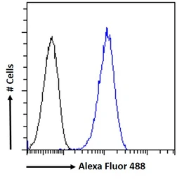 Anti-KPNA3 antibody, C-term used in Flow cytometry (FCM). GTX26038