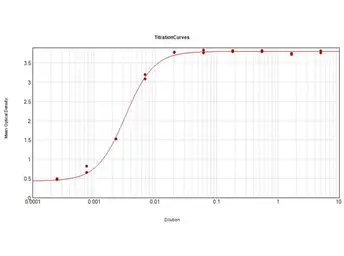 Rabbit Anti-Horse IgG antibody. GTX26700