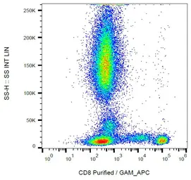 Anti-CD8 antibody [MEM-87] used in Flow cytometry (FCM). GTX28223