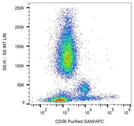 Anti-NCAM antibody [MEM-188] used in Flow cytometry (FCM). GTX28233