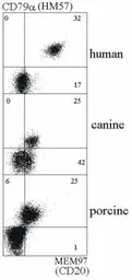 Anti-CD7 antibody [MEM-186] used in Flow cytometry (FCM). GTX28236