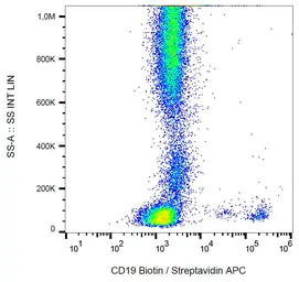 Anti-CD19 antibody [LT19] (Biotin) used in Flow cytometry (FCM). GTX28331-02