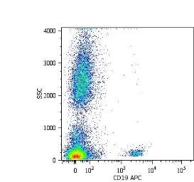 Anti-CD19 antibody [LT19] used in Flow cytometry (FCM). GTX28331