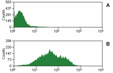 Anti-CD47 antibody [MEM-122] used in Flow cytometry (FCM). GTX29089