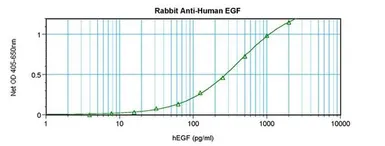 Anti-EGF antibody used in ELISA (ELISA). GTX29695