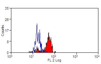 Anti-F4/80 antibody [A10] (PE) used in Flow cytometry (FCM). GTX30003
