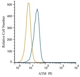 Anti-ATM antibody used in Flow cytometry (FCM). GTX30104
