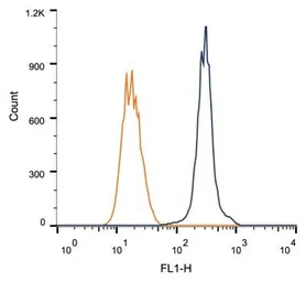 Anti-Rad51C antibody [2H11/6] used in Flow cytometry (FCM). GTX30137
