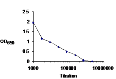 Anti-Cyclin E1 antibody used in ELISA (ELISA). GTX30234