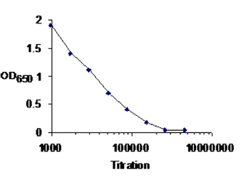 Anti-RFXANK antibody used in ELISA (ELISA). GTX30257
