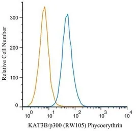 Anti-EP300 antibody [RW105] used in Flow cytometry (FCM). GTX30618