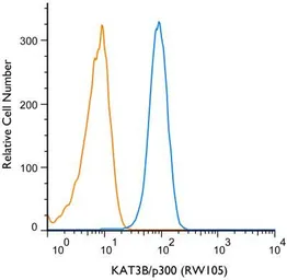 Anti-EP300 antibody [RW105] used in Flow cytometry (FCM). GTX30618