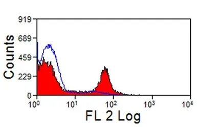 Anti-SIRP alpha antibody [CC149] used in Flow cytometry (FCM). GTX31217