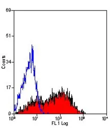 Anti-CD62P antibody [AK-6] used in Flow cytometry (FCM). GTX31222