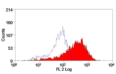 Anti-TREM2 antibody [78.18] used in Flow cytometry (FCM). GTX31235