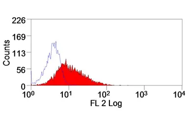 Anti-TWEAKR antibody [ITEM-4] used in Flow cytometry (FCM). GTX31245