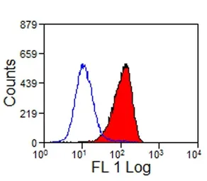 Anti-CD16-Like antibody [VPM64] used in Flow cytometry (FCM). GTX31246