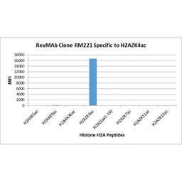 Anti-Histone H2A.Z (Acetyl Lys4) antibody [RM221] used in  (). GTX33591