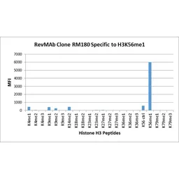 Anti-Histone H3K56me1 (Mono-methyl Lys56) antibody [RM180] used in  (). GTX33594