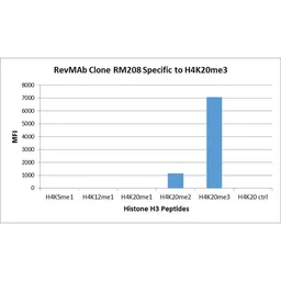 Anti-Histone H4 (Tri-Methyl Lys20) antibody [RM208] used in  (). GTX33603