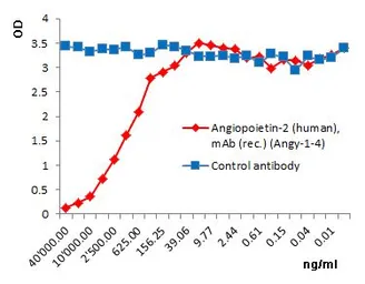 Anti-Angiopoietin 2 antibody [Angy-1-4] (Azide free) used in ELISA (ELISA). GTX33914-00