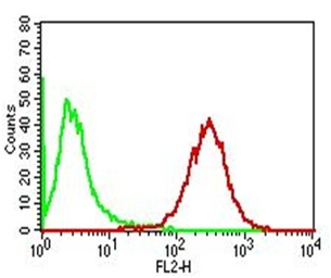 Anti-ADFP antibody [ADFP/1365] used in Flow cytometry (FCM). GTX34395