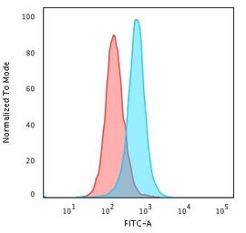 Anti-Calponin 1 antibody [SPM169] used in Flow cytometry (FCM). GTX34447