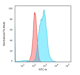 Anti-Calponin 1 antibody [rCNN1/832] used in Flow cytometry (FCM). GTX34449
