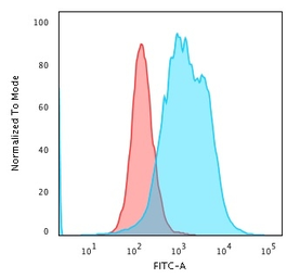 Anti-Calponin 1 antibody [CNN1/1408R] used in Flow cytometry (FCM). GTX34450