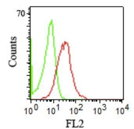 Anti-CD1b antibody [RIV12] used in Flow cytometry (FCM). GTX34473