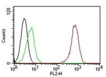 Anti-CD31 antibody [C31.7] used in Flow cytometry (FCM). GTX34489