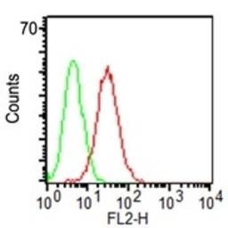 Anti-CD34 antibody [ICO-115] used in Flow cytometry (FCM). GTX34496
