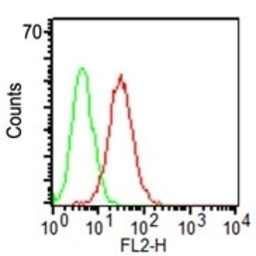 Anti-CD34 antibody [HPCA1/1171] used in Flow cytometry (FCM). GTX34500