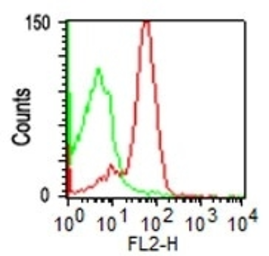 Anti-CD43 antibody [SPM503] used in Flow cytometry (FCM). GTX34507