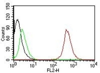 Anti-CD63 antibody [NKI/C3] used in Flow cytometry (FCM). GTX34538