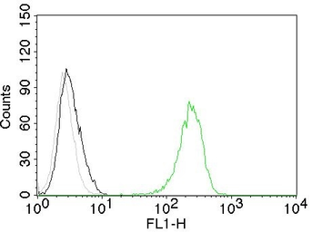 Anti-CD71 antibody [TFRC/1059] used in Flow cytometry (FCM). GTX34548